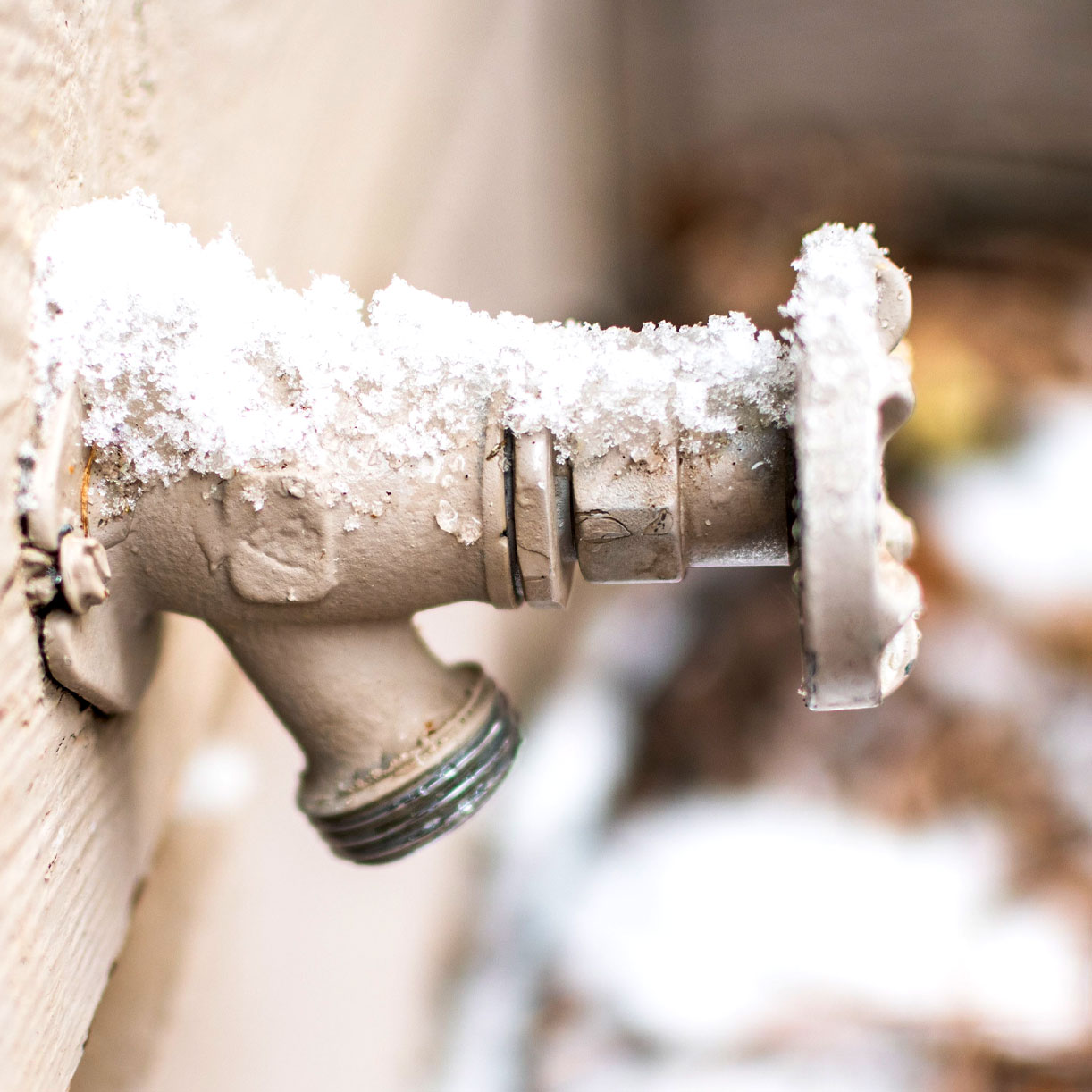 Winterization Winterization